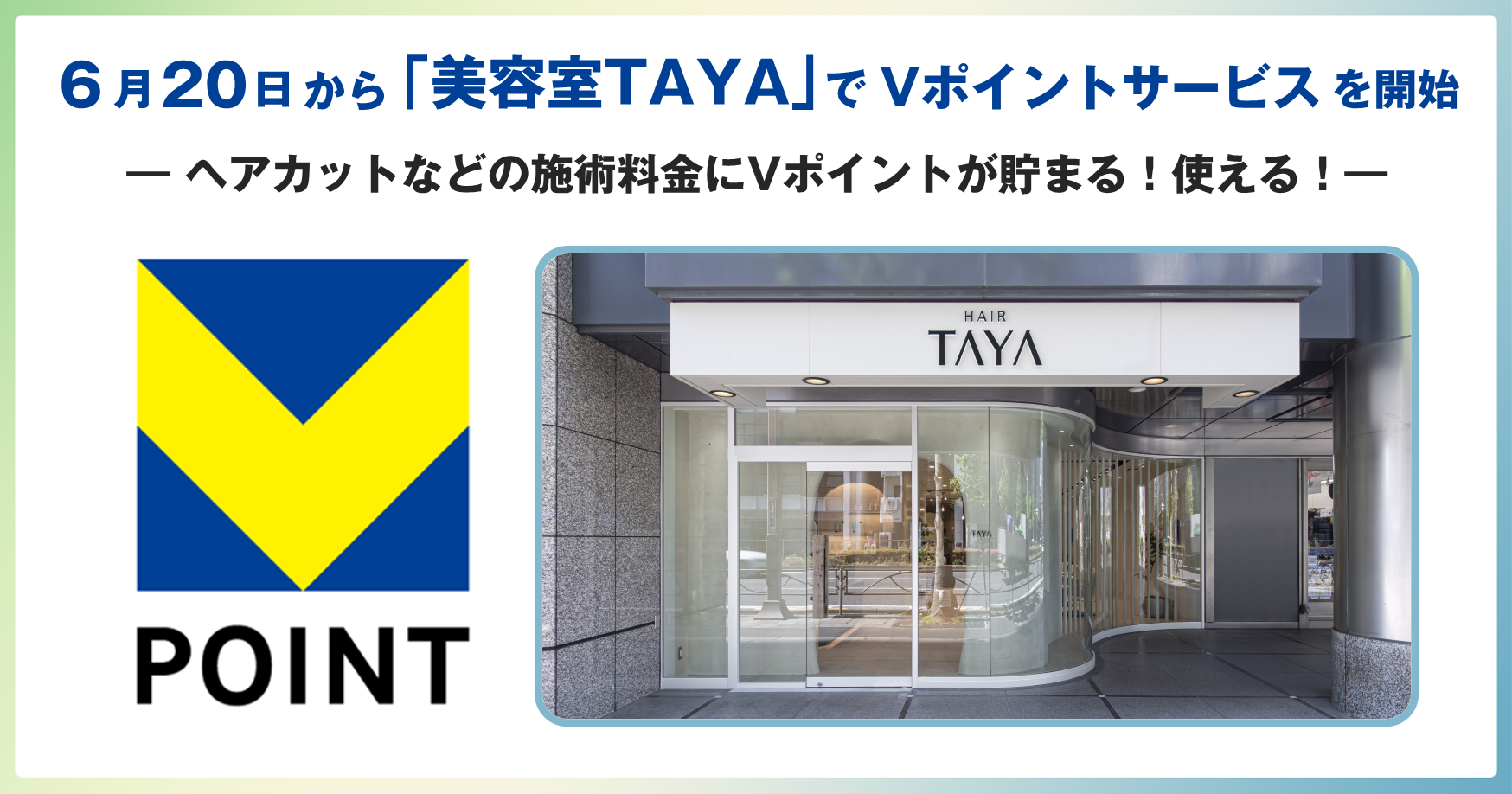 20250619_taya_kv.png