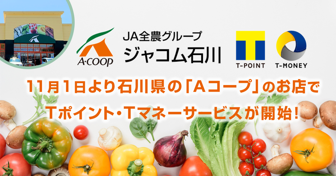 ishikawa_acorp_tpoint.png